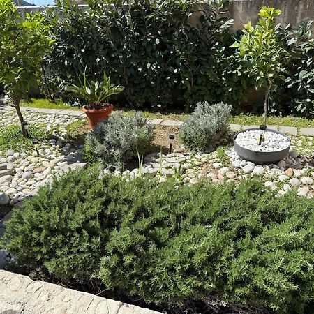 Lemon Tree Dubrovnik Apartments エクステリア 写真