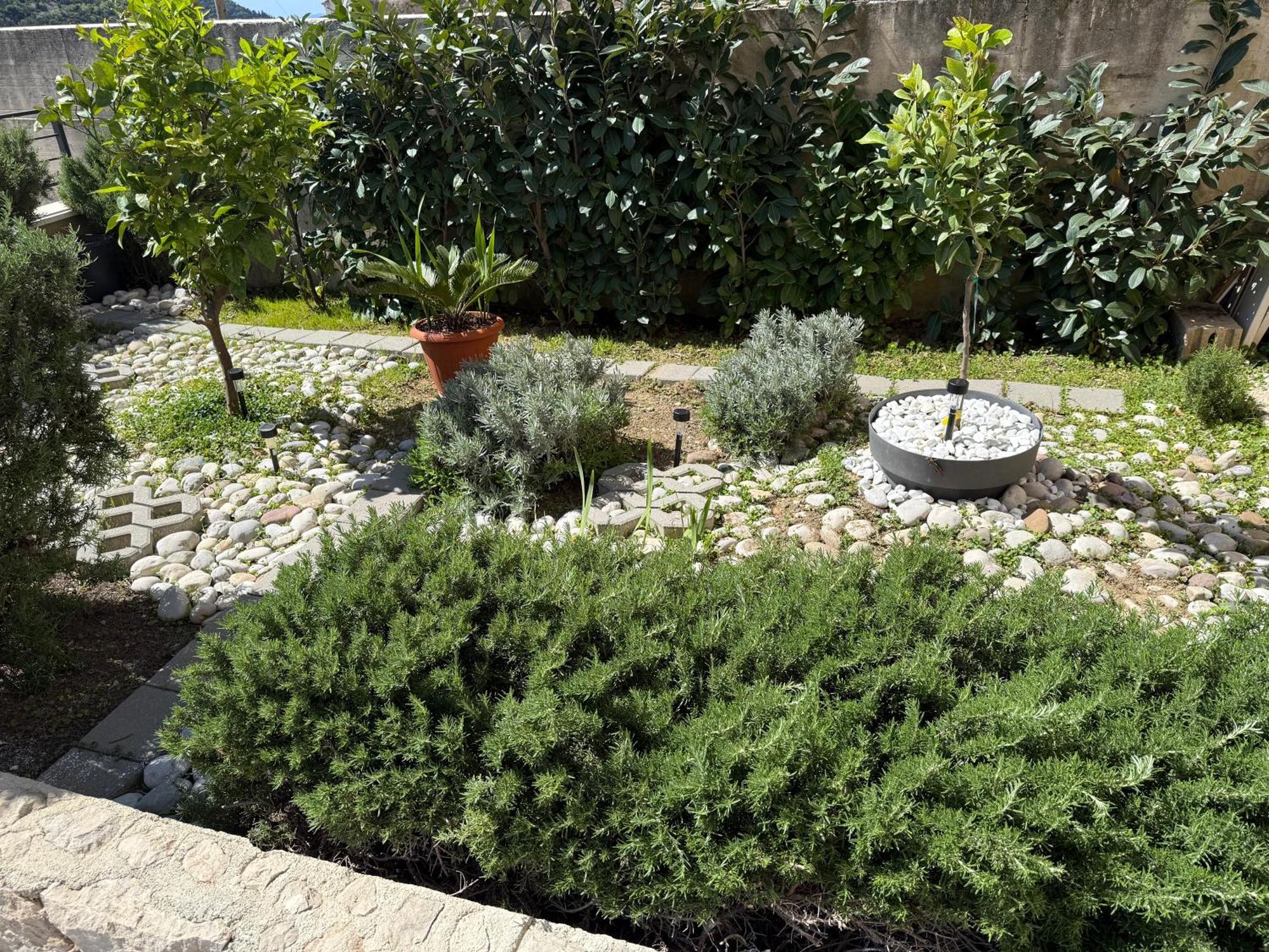 Lemon Tree Dubrovnik Apartments エクステリア 写真